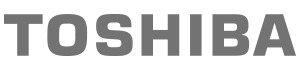 Toshiba Grey